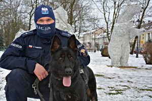 Policyjny pies służbowy w plenerze ze swoim przewodnikiem